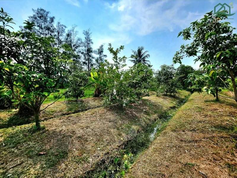 ไม่พบโครงการ, Nakhon Pathom, , Sri Mahapho, Nakhon Chai Sri, Nakhon Pathom, , 3,308 sqm, Land For Sale, by Phanitchaya Yossala, 500530768 - DDproperty.com