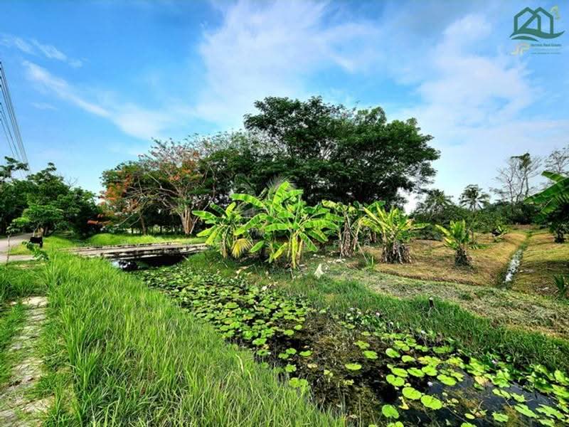 ไม่พบโครงการ, นครปฐม, , ศรีมหาโพธิ์, นครชัยศรี, นครปฐม, 3,308 ตร.ม., ที่ดิน ขาย, โดย พณิชญา ยศสละ, 500530768 - DDproperty.com