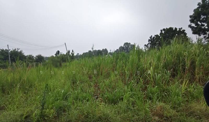 ใกล้วัดห้วยผักชี, Nakhon Pathom, Thung Luk Nok, Kamphaeng Saen, Nakhon Pathom, , 1,818 sqm, Land For Sale, by ชนะชาติ นนท์ตา, 500530814 - DDproperty.com