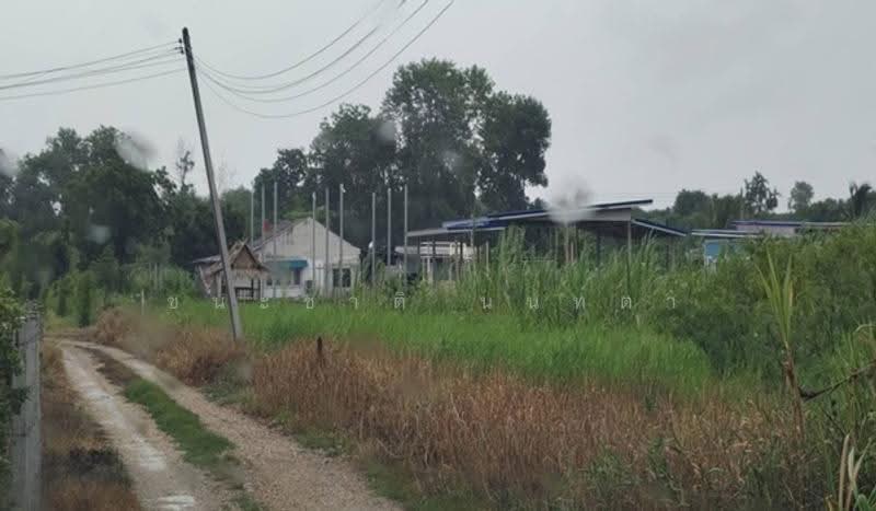 ใกล้วัดห้วยผักชี, Nakhon Pathom, Thung Luk Nok, Kamphaeng Saen, Nakhon Pathom, , 1,818 sqm, Land For Sale, by ชนะชาติ นนท์ตา, 500530814 - DDproperty.com