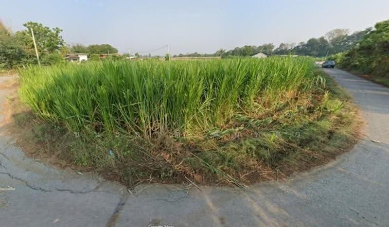 ใกล้วัดห้วยผักชี, Nakhon Pathom, Thung Luk Nok, Kamphaeng Saen, Nakhon Pathom, , 1,818 sqm, Land For Sale, by ชนะชาติ นนท์ตา, 500530814 - DDproperty.com