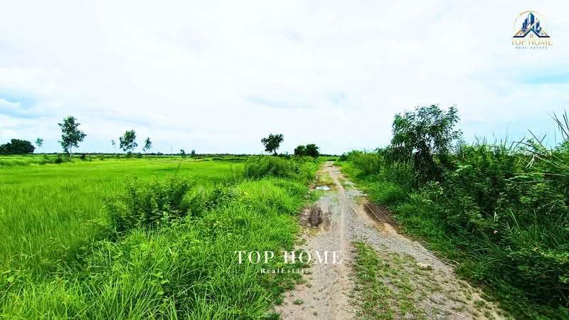 ขายด่วน! ที่ดินเปล่า 200 ตร.ว. องครักษ์ 24 — ราคาเพียง 590,000 บาท, นครนายก, ศีรษะกระบือ, องครักษ์, นครนายก, 800 ตร.ม., Land ขาย, โดย คุณเเอพ, 500530822 - DDproperty.com