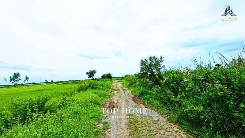 ขายด่วน! ที่ดินเปล่า 200 ตร.ว. องครักษ์ 24 — ราคาเพียง 590,000 บาท, นครนายก, ศีรษะกระบือ, องครักษ์, นครนายก, 800 ตร.ม., Land ขาย, โดย คุณเเอพ, 500530822 - DDproperty.com