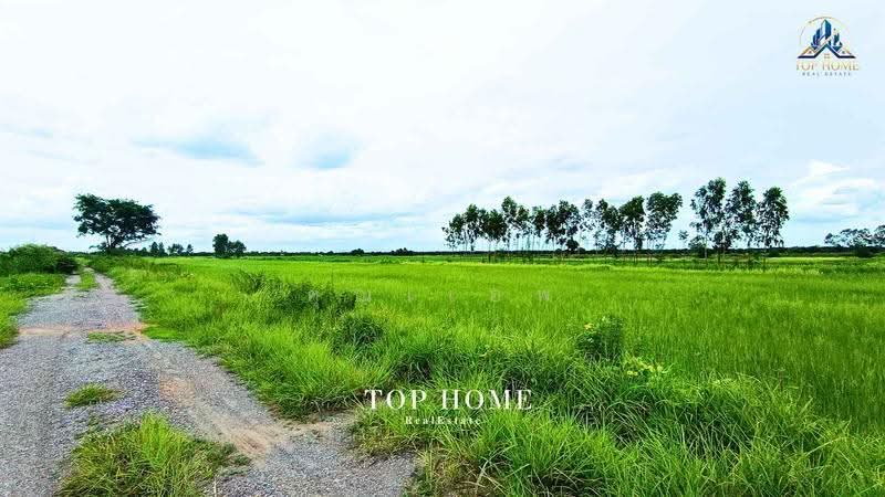ขายด่วน! ที่ดินเปล่า 200 ตร.ว. องครักษ์ 24 — ราคาเพียง 590,000 บาท, นครนายก, ศีรษะกระบือ, องครักษ์, นครนายก, 800 ตร.ม., Land ขาย, โดย คุณเเอพ, 500530822 - DDproperty.com