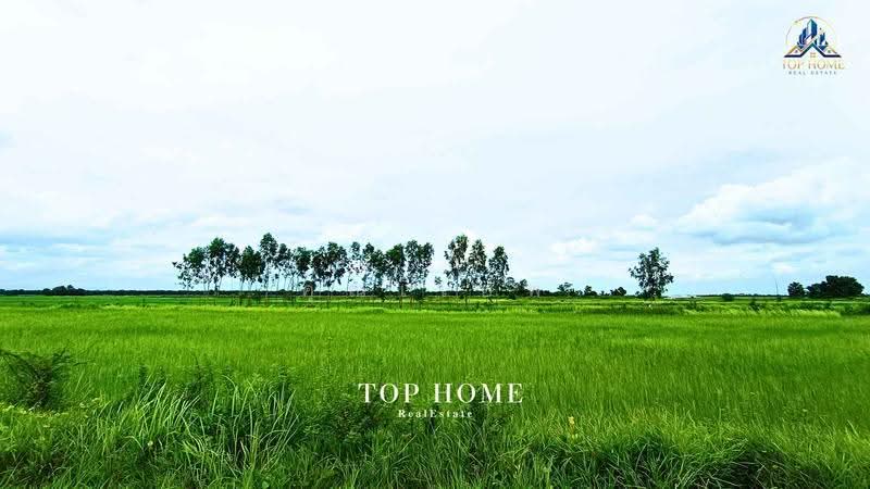 ขายด่วน! ที่ดินเปล่า 200 ตร.ว. องครักษ์ 24 — ราคาเพียง 590,000 บาท, Nakhon Nayok, Srisa Krabu, Ongkharak, Nakhon Nayok, , 800 sqm, Land For Sale, by คุณเเอพ, 500530822 - DDproperty.com