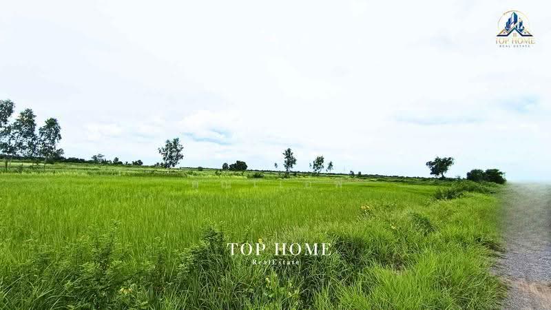 ขายด่วน! ที่ดินเปล่า 200 ตร.ว. องครักษ์ 24 — ราคาเพียง 590,000 บาท, Nakhon Nayok, Srisa Krabu, Ongkharak, Nakhon Nayok, , 800 sqm, Land For Sale, by คุณเเอพ, 500530822 - DDproperty.com