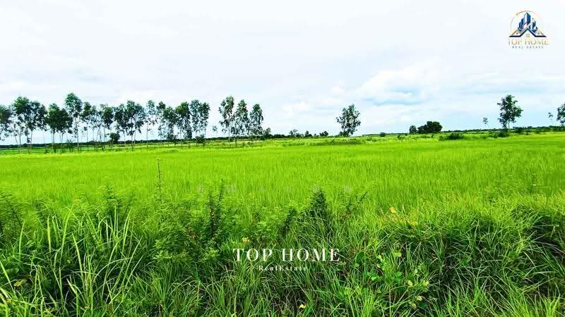 ขายด่วน! ที่ดินเปล่า 200 ตร.ว. องครักษ์ 24 — ราคาเพียง 590,000 บาท, Nakhon Nayok, Srisa Krabu, Ongkharak, Nakhon Nayok, , 800 sqm, Land For Sale, by คุณเเอพ, 500530822 - DDproperty.com