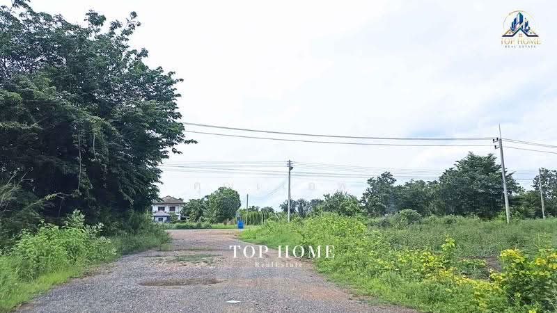 ขายด่วน! ที่ดินเปล่า 200 ตร.ว. องครักษ์ 24 — ราคาเพียง 590,000 บาท, Nakhon Nayok, Srisa Krabu, Ongkharak, Nakhon Nayok, , 800 sqm, Land For Sale, by คุณเเอพ, 500530822 - DDproperty.com