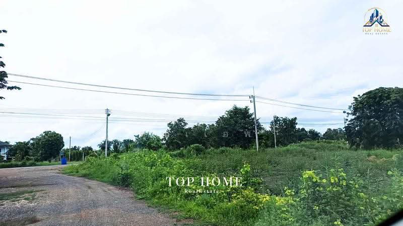 ขายด่วน! ที่ดินเปล่า 200 ตร.ว. องครักษ์ 24 — ราคาเพียง 590,000 บาท, Nakhon Nayok, Srisa Krabu, Ongkharak, Nakhon Nayok, , 800 sqm, Land For Sale, by คุณเเอพ, 500530822 - DDproperty.com