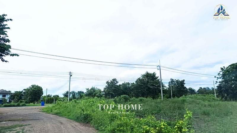 ขายด่วน! ที่ดินเปล่า 200 ตร.ว. องครักษ์ 24 — ราคาเพียง 590,000 บาท, นครนายก, ศีรษะกระบือ, องครักษ์, นครนายก, 800 ตร.ม., Land ขาย, โดย คุณเเอพ, 500530822 - DDproperty.com