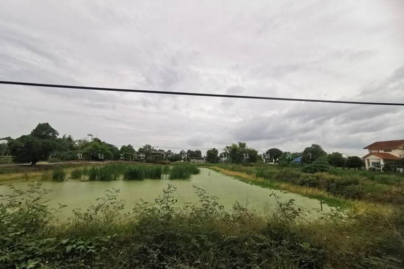 ซอยลำลูกกา 227, Pathum Thani, Lam Sai, Lam Luk Ka, Pathum Thani, , 6,724 sqm, Land For Sale, by ชนะชาติ นนท์ตา, 500530873 - DDproperty.com