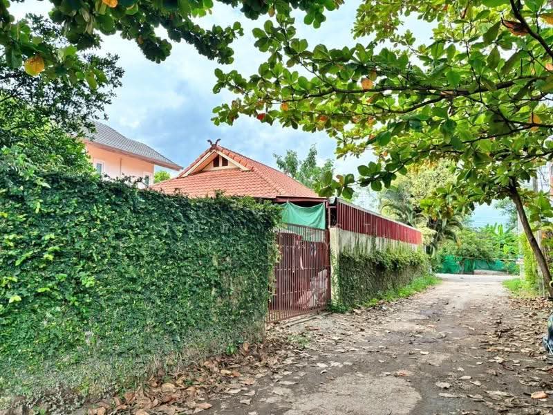 ที่ดินสุเทพ เชียงใหม่, เชียงใหม่, สุเทพ, เมืองเชียงใหม่, เชียงใหม่, 450 ตร.ม., ที่ดิน ขาย, โดย The Best Property ยุ้ย, 500530881 - DDproperty.com