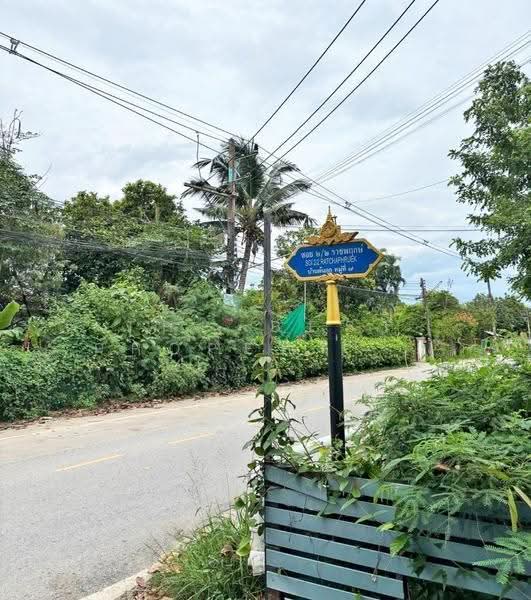 ที่ดินสุเทพ เชียงใหม่, เชียงใหม่, สุเทพ, เมืองเชียงใหม่, เชียงใหม่, 450 ตร.ม., ที่ดิน ขาย, โดย The Best Property ยุ้ย, 500530881 - DDproperty.com