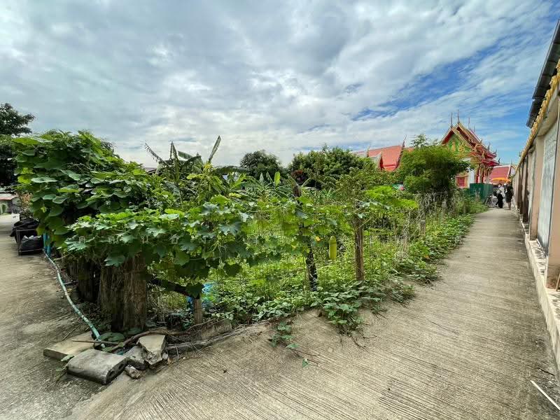 ที่ดินซอยวัดศรีเรืองบุญ, Nonthaburi, กาญจนาภิเษก, Plai Bang, Bang Kruai, Nonthaburi, , 400 sqm, Land For Sale, by คุณน้อง เกรทเทสต์, 500530902 - DDproperty.com