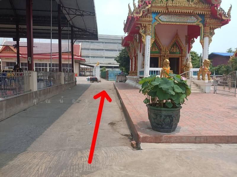 ที่ดินซอยวัดศรีเรืองบุญ, Nonthaburi, กาญจนาภิเษก, Plai Bang, Bang Kruai, Nonthaburi, , 400 sqm, Land For Sale, by คุณน้อง เกรทเทสต์, 500530902 - DDproperty.com