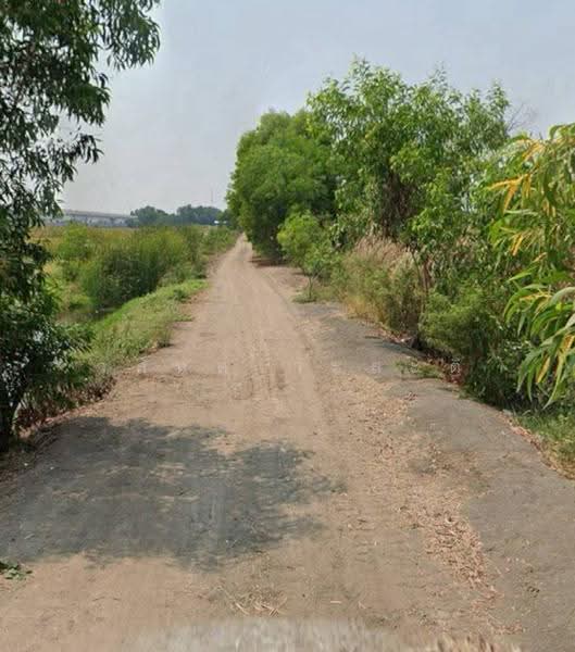 ที่ดินคลองสอง คลองหลวง 1 ไร่ 3 งาน 36 ตร.ว. ( 2.5 ล้าน/ไร่), Pathum Thani, เลียบ คลองสอง, Khlong Song, Khlong Luang, Pathum Thani, , 2,944 sqm, Land For Sale, by Wasan Wasati, 500530903 - DDproperty.com