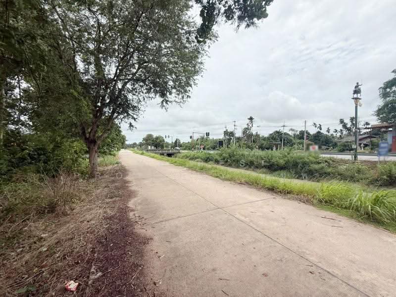 ที่ดินบ้านค่าย ระยอง, ระยอง, บ้านค่าย, ระยอง, 3,200 ตร.ม., ที่ดิน ขาย, โดย The Best Property ชมพู่, 500530931 - DDproperty.com