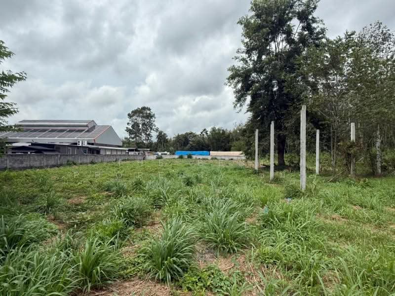 ที่ดินบ้านค่าย ระยอง, ระยอง, บ้านค่าย, ระยอง, 3,200 ตร.ม., ที่ดิน ขาย, โดย The Best Property ชมพู่, 500530931 - DDproperty.com