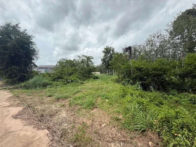 ที่ดินบ้านค่าย ระยอง, Rayong, Ban Khai, Rayong, , 3,200 sqm, Land For Sale, by The Best Property ชมพู่, 500530931 - DDproperty.com