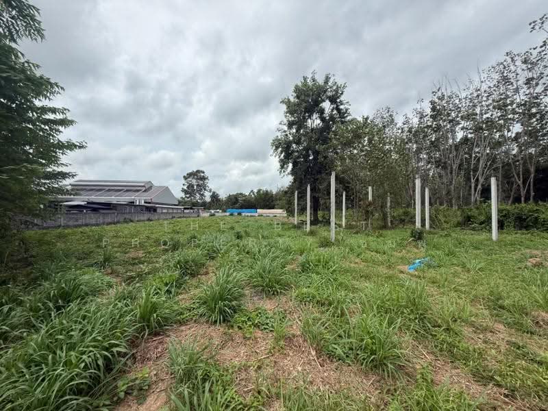 ที่ดินบ้านค่าย ระยอง, ระยอง, บ้านค่าย, ระยอง, 3,200 ตร.ม., ที่ดิน ขาย, โดย The Best Property ชมพู่, 500530931 - DDproperty.com