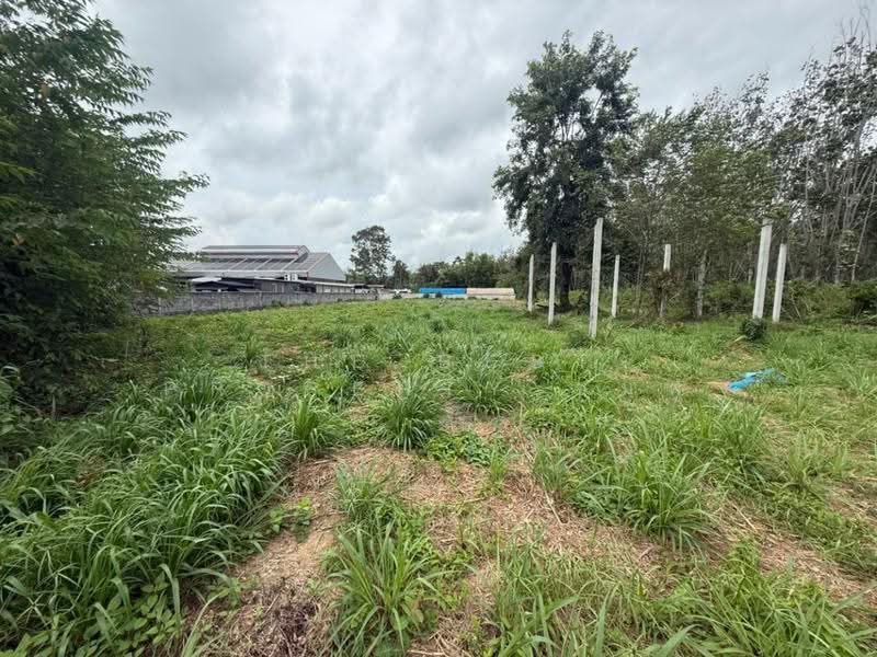 ที่ดินบ้านค่าย ระยอง, Rayong, Ban Khai, Rayong, , 3,200 sqm, Land For Sale, by The Best Property ชมพู่, 500530931 - DDproperty.com