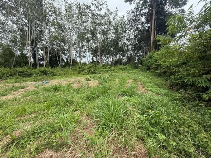 ที่ดินบ้านค่าย ระยอง, Rayong, Ban Khai, Rayong, , 3,200 sqm, Land For Sale, by The Best Property ชมพู่, 500530931 - DDproperty.com