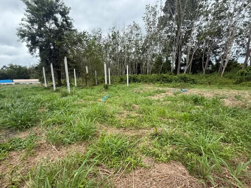 ที่ดินบ้านค่าย ระยอง, Rayong, Ban Khai, Rayong, , 3,200 sqm, Land For Sale, by The Best Property ชมพู่, 500530931 - DDproperty.com