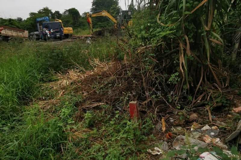 ซอยลำลูกกา 225, Pathum Thani, Lam Sai, Lam Luk Ka, Pathum Thani, , 1,600 sqm, Land For Sale, by ชนะชาติ นนท์ตา, 500530936 - DDproperty.com