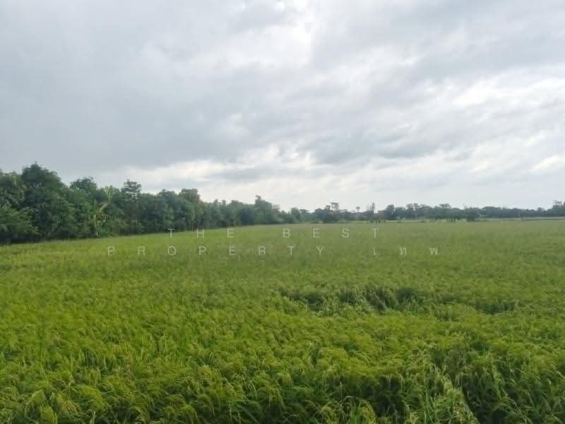 ที่ดินบางใหญ่ นนทบุรี, Nonthaburi, Ban Mai, Bang Yai, Nonthaburi, , 8,228 sqm, Land For Sale, by The Best Property เทพ, 500530940 - DDproperty.com