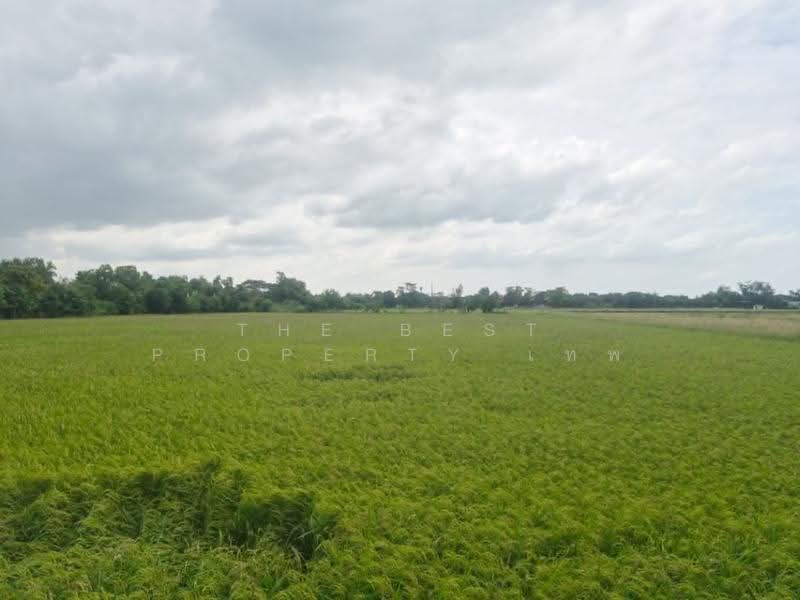 ที่ดินบางใหญ่ นนทบุรี, Nonthaburi, Ban Mai, Bang Yai, Nonthaburi, , 8,228 sqm, Land For Sale, by The Best Property เทพ, 500530940 - DDproperty.com