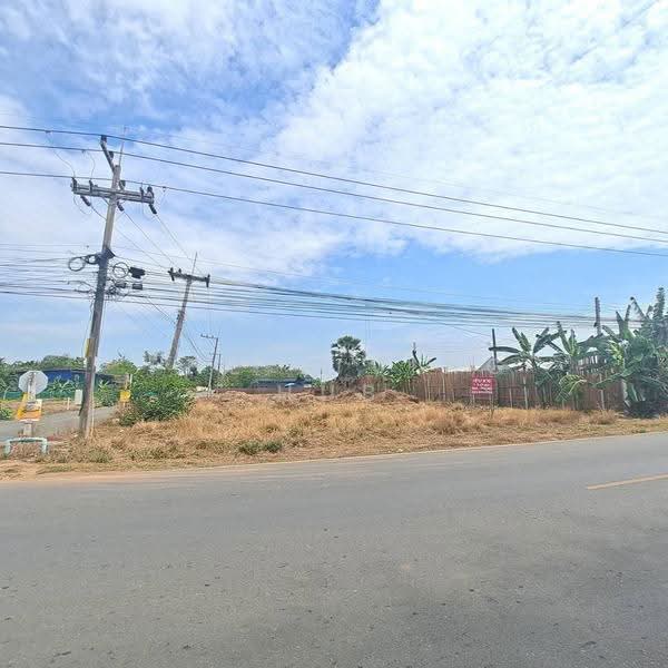 ที่ดินคลอง 8 บึงบอน 51, Pathum Thani, Bung Bon, Nong Sua, Pathum Thani, , 1,768 sqm, Land For Sale, by THE LIVING HUB, 500530941 - DDproperty.com