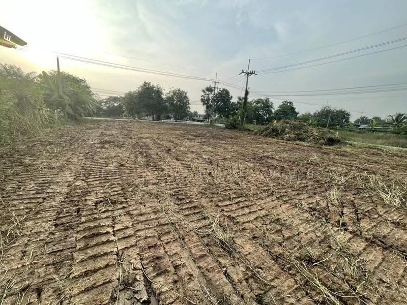 ที่ดินคลอง 8 บึงบอน 51, ปทุมธานี, บึงบอน, หนองเสือ, ปทุมธานี, 1,768 ตร.ม., ที่ดิน ขาย, โดย THE LIVING HUB, 500530941 - DDproperty.com