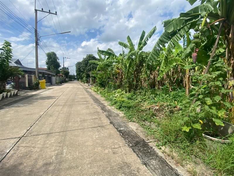 หมู่บ้านเพชรชมพู2, ปทุมธานี, ลำผักกูด, ธัญบุรี, ปทุมธานี, 208 ตร.ม., ที่ดิน ขาย, โดย คุณ กัญญ์ชญา คารมดี (จิ๋ว), 500530952 - DDproperty.com