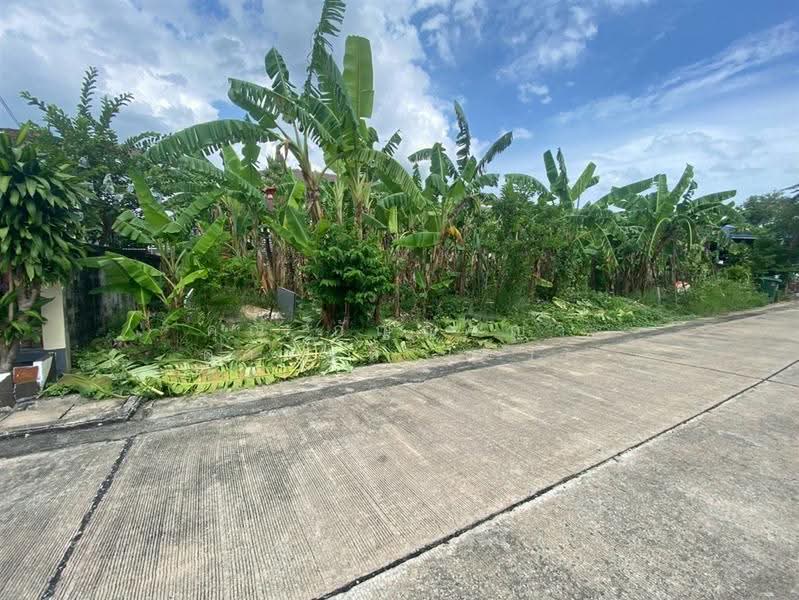 หมู่บ้านเพชรชมพู2, ปทุมธานี, ลำผักกูด, ธัญบุรี, ปทุมธานี, 208 ตร.ม., ที่ดิน ขาย, โดย คุณ กัญญ์ชญา คารมดี (จิ๋ว), 500530952 - DDproperty.com
