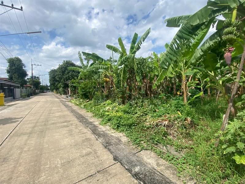 หมู่บ้านเพชรชมพู2, ปทุมธานี, ลำผักกูด, ธัญบุรี, ปทุมธานี, 208 ตร.ม., ที่ดิน ขาย, โดย คุณ กัญญ์ชญา คารมดี (จิ๋ว), 500530952 - DDproperty.com
