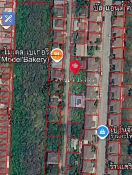 หมู่บ้านเพชรชมพู2, ปทุมธานี, ลำผักกูด, ธัญบุรี, ปทุมธานี, 208 ตร.ม., ที่ดิน ขาย, โดย คุณ กัญญ์ชญา คารมดี (จิ๋ว), 500530952 - DDproperty.com