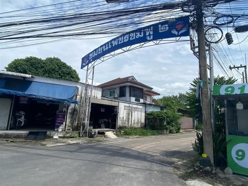 หมู่บ้านเพชรชมพู2, ปทุมธานี, ลำผักกูด, ธัญบุรี, ปทุมธานี, 208 ตร.ม., ที่ดิน ขาย, โดย คุณ กัญญ์ชญา คารมดี (จิ๋ว), 500530952 - DDproperty.com