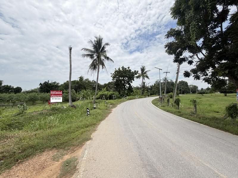 ที่ดิน สร้างหมู่บ้าน!! ถมแล้ว 3กม.ทางขึ้น M81 อ.เมือง นครปฐม, นครปฐม, หนองปากโลง, เมืองนครปฐม, นครปฐม, 13,024 ตร.ม., ที่ดิน ขาย, โดย Shaporn Supvilaiphisan, 500531061 - DDproperty.com
