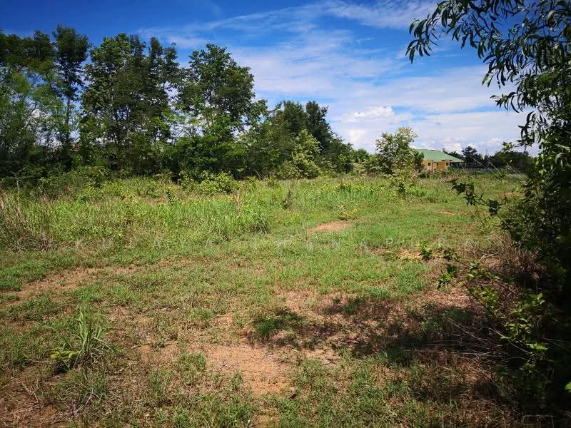 Large Land for Rent, Non Sung, Mueang Udon Thani, Udon Thani, Non Sung, Muang Udon Thani, Udon Thani, , 20,219 sqm, Land For Rent, by Kulaya Thanapura, 500531122 - DDproperty.com