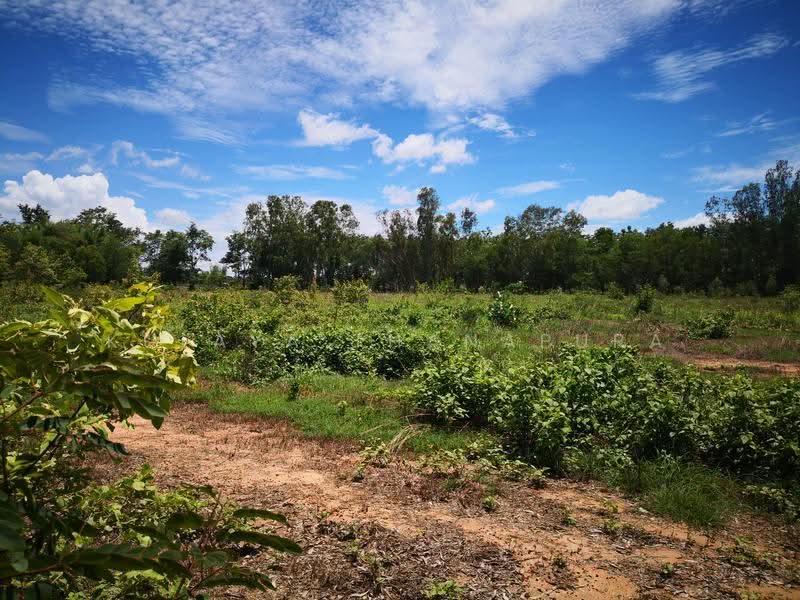 Large Land for Rent, Non Sung, Mueang Udon Thani, Udon Thani, Non Sung, Muang Udon Thani, Udon Thani, , 20,219 sqm, Land For Rent, by Kulaya Thanapura, 500531122 - DDproperty.com