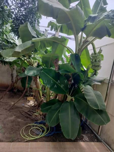2-Story House for Rent 97 sq.w, Sittharom Village, Outer-Ring Road, Mueang Udon Thani, Udon Thani, Nong Khon Kwang, Muang Udon Thani, Udon Thani, 4 Bedrooms, 220 sqm, Single Detached House For Rent, by Kulaya Thanapura, 500531124 - DDproperty.com