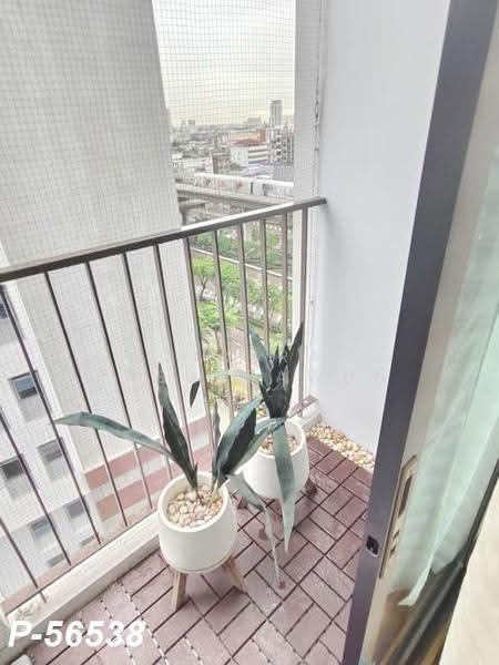 Fuse Sathorn-Taksin, Bangkok, Krung Thon Buri Road, Bang Lam Phu Lang, Khlong San, Bangkok, 1 Bedroom, 34 sqm, Condo For Rent, by Susira Prueksawun, 500531194 - DDproperty.com