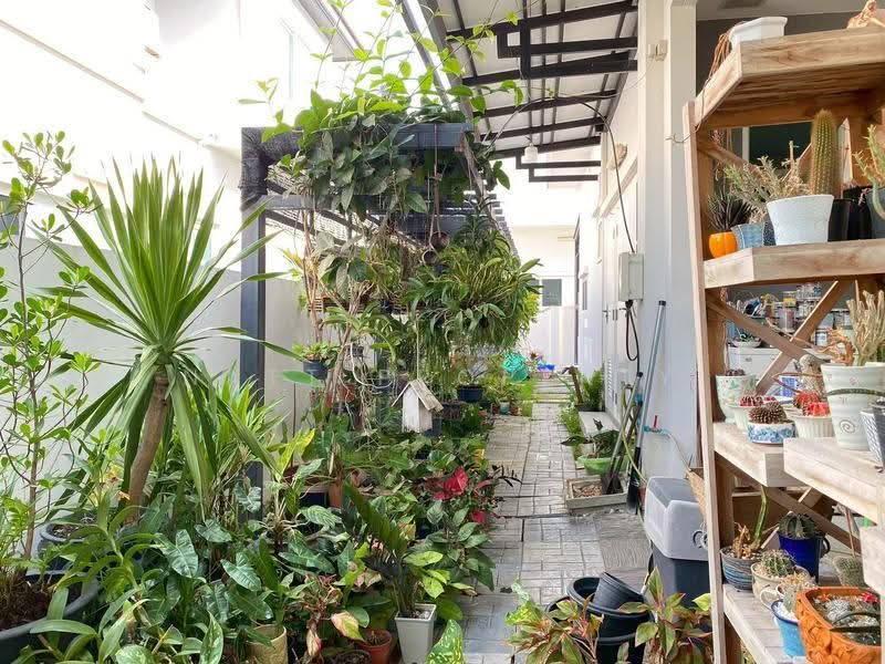Mantana Srinakarin-Romklao, Bangkok, Kheha Rom Klao Road, Min Buri, Bangkok, 4 Bedrooms, 222 sqm, Single Detached House For Sale, by natt property, 500531195 - DDproperty.com