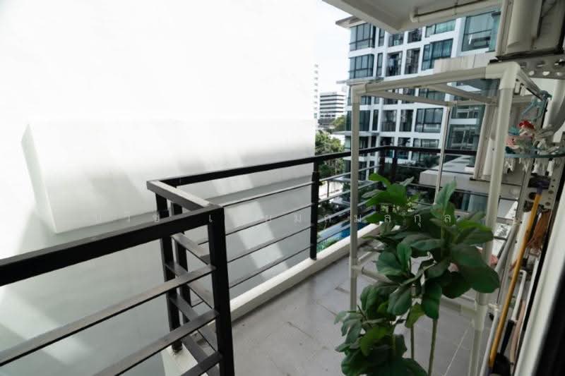 Chateau In Town Sukhumvit 62/1 : ชาโตว์ อินทาวน์ สุขุมวิท 62/1, กรุงเทพ, 7391 ซอยสุขุมวิท 62/1 ถนนสุขุมวิท, บางจาก, พระโขนง, กรุงเทพ, 43 ตร.ม., คอนโด ขาย, โดย ปวิช เปี่ยมกมลกุล, 500531224 - DDproperty.com