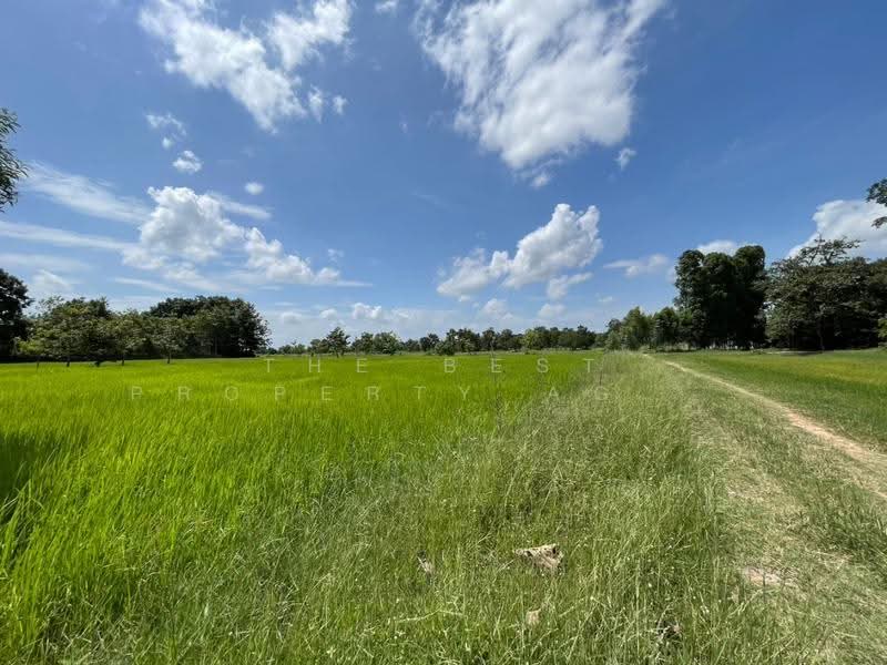 ที่ดินบ้านไผ่ ขอนแก่น, ขอนแก่น, ในเมือง, บ้านไผ่, ขอนแก่น, 10,872 ตร.ม., ที่ดิน ขาย, โดย The Best Property Agent อัคร, 500531272 - DDproperty.com