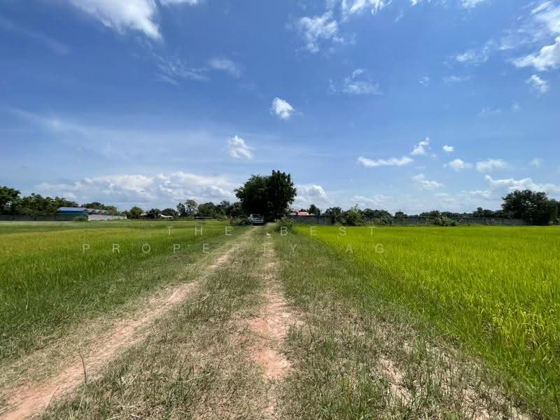 ที่ดินบ้านไผ่ ขอนแก่น, Khon Kaen, Nai Muang, Ban Phai, Khon Kaen, , 10,872 sqm, Land For Sale, by The Best Property Agent อัคร, 500531272 - DDproperty.com
