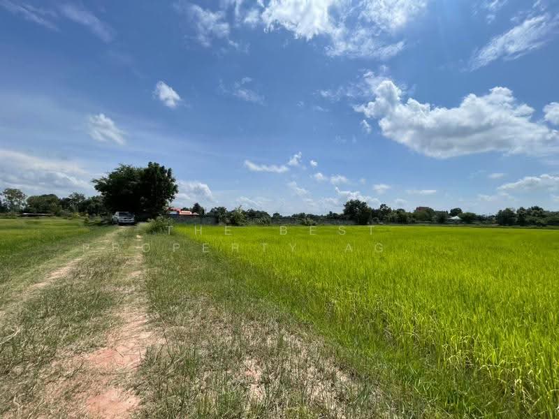 ที่ดินบ้านไผ่ ขอนแก่น, ขอนแก่น, ในเมือง, บ้านไผ่, ขอนแก่น, 10,872 ตร.ม., ที่ดิน ขาย, โดย The Best Property Agent อัคร, 500531272 - DDproperty.com