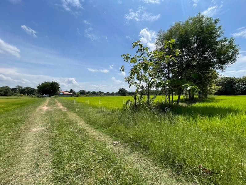 ที่ดินบ้านไผ่ ขอนแก่น, Khon Kaen, Nai Muang, Ban Phai, Khon Kaen, , 10,872 sqm, Land For Sale, by The Best Property Agent อัคร, 500531272 - DDproperty.com