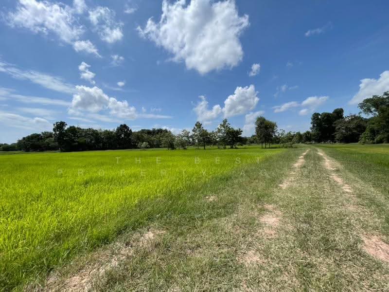 ที่ดินบ้านไผ่ ขอนแก่น, ขอนแก่น, ในเมือง, บ้านไผ่, ขอนแก่น, 10,872 ตร.ม., ที่ดิน ขาย, โดย The Best Property Agent อัคร, 500531272 - DDproperty.com