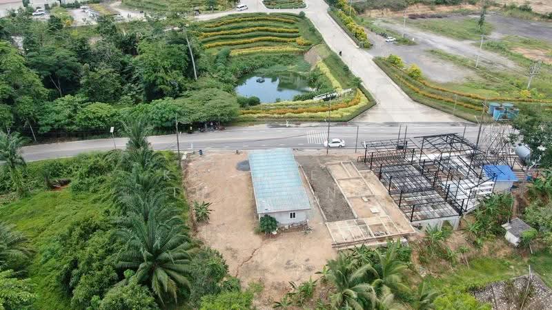 Urgent Sale! Land with House in Samed Nangshe, Phang Nga Opposite Beyond Skywalk, Phangnga, Khlong Khian, Takua Thung, Phangnga, , 568 sqm, Land For Sale, by Kulapeeda Thathong, 500531316 - DDproperty.com